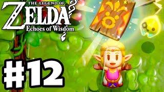 Membership Card! - The Legend of Zelda: Echoes of Wisdom - Full Game Walkthrough Part 12