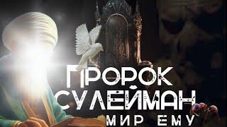 История Пророка Сулеймана (Мир ему)