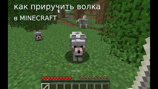 как приручить волка в MINECRAFT