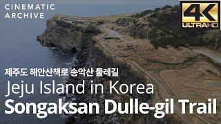 제주도 해안산책로 송악산 둘레길/ Songaksan in Jeju, Korea Drone - 바다, 올레, 산, 전망대, 여행, 드론 |시네마틱아카이브-대한민국영상소스