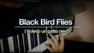 Black Bird Flies (Volevo un gatto nero) - piano cover - Jaeyong Kang