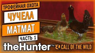 ТРОФЕЙНАЯ ОХОТА И КОМПОЗИЦИИ ИЗ ЧУЧЕЛ ОТ МАТМАТ!| theHunter Call of the Wild  | (часть 1)