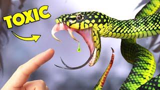 Bite of Rare Snake has Mysterious Venom!