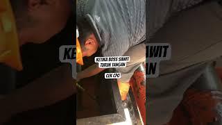 boss sawit cek cpo #sawit #cpo #sawitindonesia