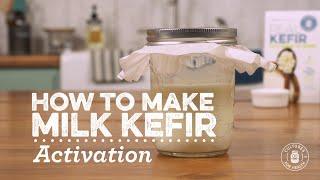 Activating Milk Kefir Grains