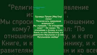 Хадис от Муслима, Абу Дауда, Насаи. #хадисыпророка#ислам#миссияпророка