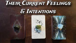 ‍️ Their Current Feelings & Intentions! ‍️ Pick A Card Love Reading