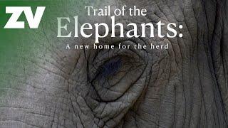 Trail of the Elephants - A new home for the herd - Trailer