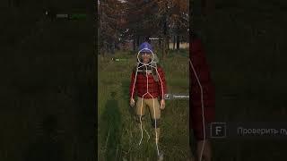 Попался читак в сети #shorts #dayz #podpivas