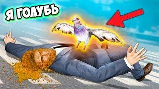 СТАЛ ГОЛУБЕМ НА 24 ЧАСА