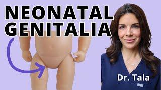 How to EXAMINE a baby's genital area?? A Neonatologist reviews!