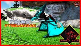 Our First PRIME DINO | PRIME PTERANODON | Should we Evolve it? | ARK PRIMAL FEAR