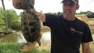 How to Catch, Clean and Cook a Snapping Turtle!  PT 1