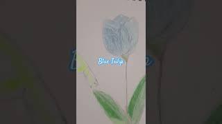 I've drew a Blue Tulip. What's next? | ElySisters | SUBSCRIBE