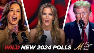 Megyn Kelly Breaks Down the Wild New 2024 Polls Shaking Up the Race With One Day To Go