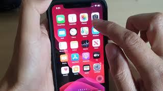 iPhone 11 Pro: How to Enable / Disable Smart Invert to Reverse Screen Colors