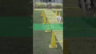Stop Wishing, Start Working!  Success is a DIY Project with UpliftiMate 
