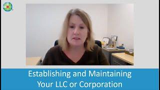 CT Expert Insights: Establishing and Maintaining Your LLC or Corporation