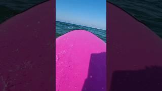 Summer ‍️‍️  (Yoz o'tmoqda soz)