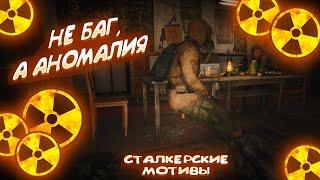 S.T.A.L.K.E.R. 2: Heart of Chornobyl "БАГИ, ФЕЙЛЫ, ПРИКОЛЫ"