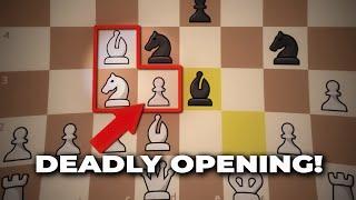 Deadly Chess Openings That Can Destroy Your Opponents