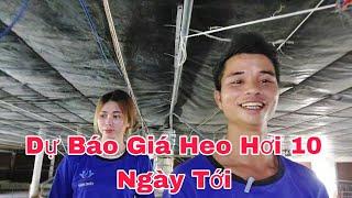 Dự Báo Giá Heo Hơi 10 Ngày Tới,@nongtraihoakieu