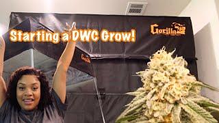 5x5 GORILLA GROW TENT | Unboxing + Setup for DWC Grow