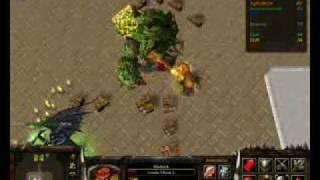 warcraft3 gladiator rpg fight with mandragora