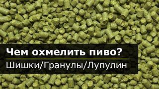 Чем охмелить пиво? Шишки хмеля, гранулы, лупулин.