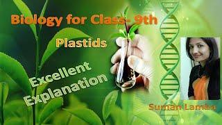 Plastid and It's types