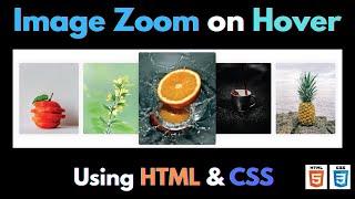 Image Zoom on Hover Effects using HTML & CSS Only