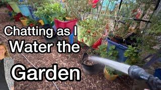 Evening Garden Watering the Raised bed Tote Tips to Grow Food, Enjoying Peaceful Quiet Nature Sounds