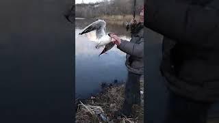 Прикол на рыбалке. Магнитогорск.