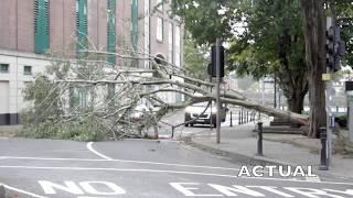 OPHELIA IN LIMERICK