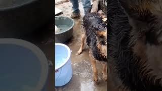 Ammu Bath 