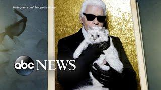 What's next for Karl Lagerfeld's iconic cat? l GMA