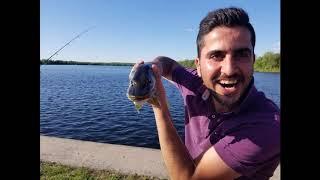 SIB SPORT FISHING GROUP 2 Large