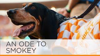 UT Celebrates 67 Years of Smokey