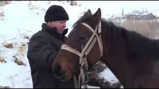 Охота в Камышинском районе Волгоградской области