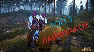 Black desert online: ТОП 5 ЛАЙФХАКОВ