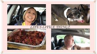 Singing, Safety, Staples & Seafood ~ Life's Little Thingz