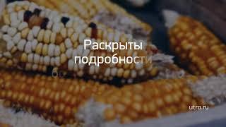 Новость дня: "Москва определила стартовые площадки ренов..." и другие главные новости за 2017-09-25