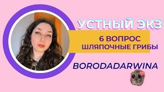 Устный экзамен - Вопрос 6, шляпочные грибы