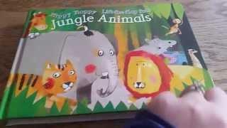 Flippy Floppy Jungle Animals: Usborne Books and More