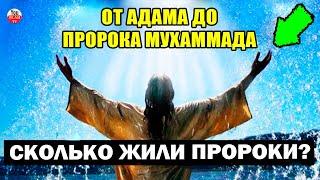 ПОРЯДОК ПОЯВЛЕНИЯ ПРОРОКОВ ОТ АДАМА ДО ПРОРОКА МУХАММАДА, СКОЛЬКО ВРЕМЕНИ ОНИ ЖИЛИ ГДЕ УМЕРЛИ