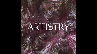 Meet the Artistry™ Brand - Skin Nutrition | Amway