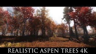 TES V - Skyrim Mods: Realistic Aspen Trees 4k