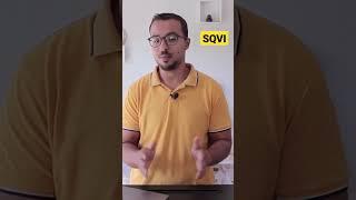 SQVI Queries SAP S4Hana