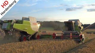 Graan dorsen | Claas Lexion 750 + Dominator 88 SL | Grain harvest | Fürstenberg | Lichtenfels.