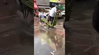 tukang becak tanpa becak  #kocak #funny #lucu #ngakak